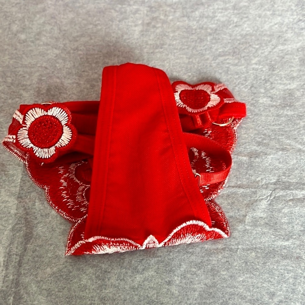 𝅺INTIMATE apparel - Picture 13 of 15